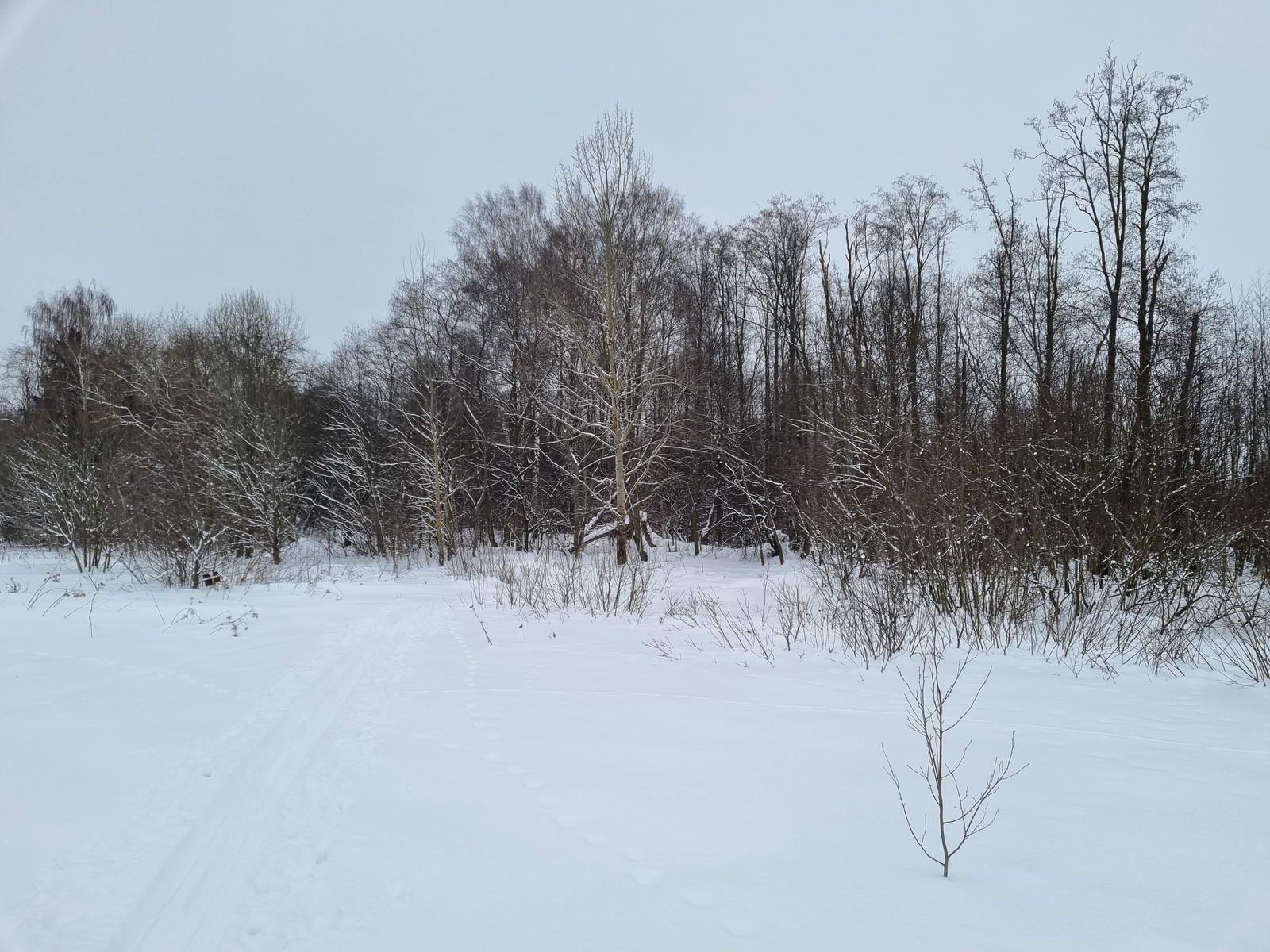 Поворот в лес