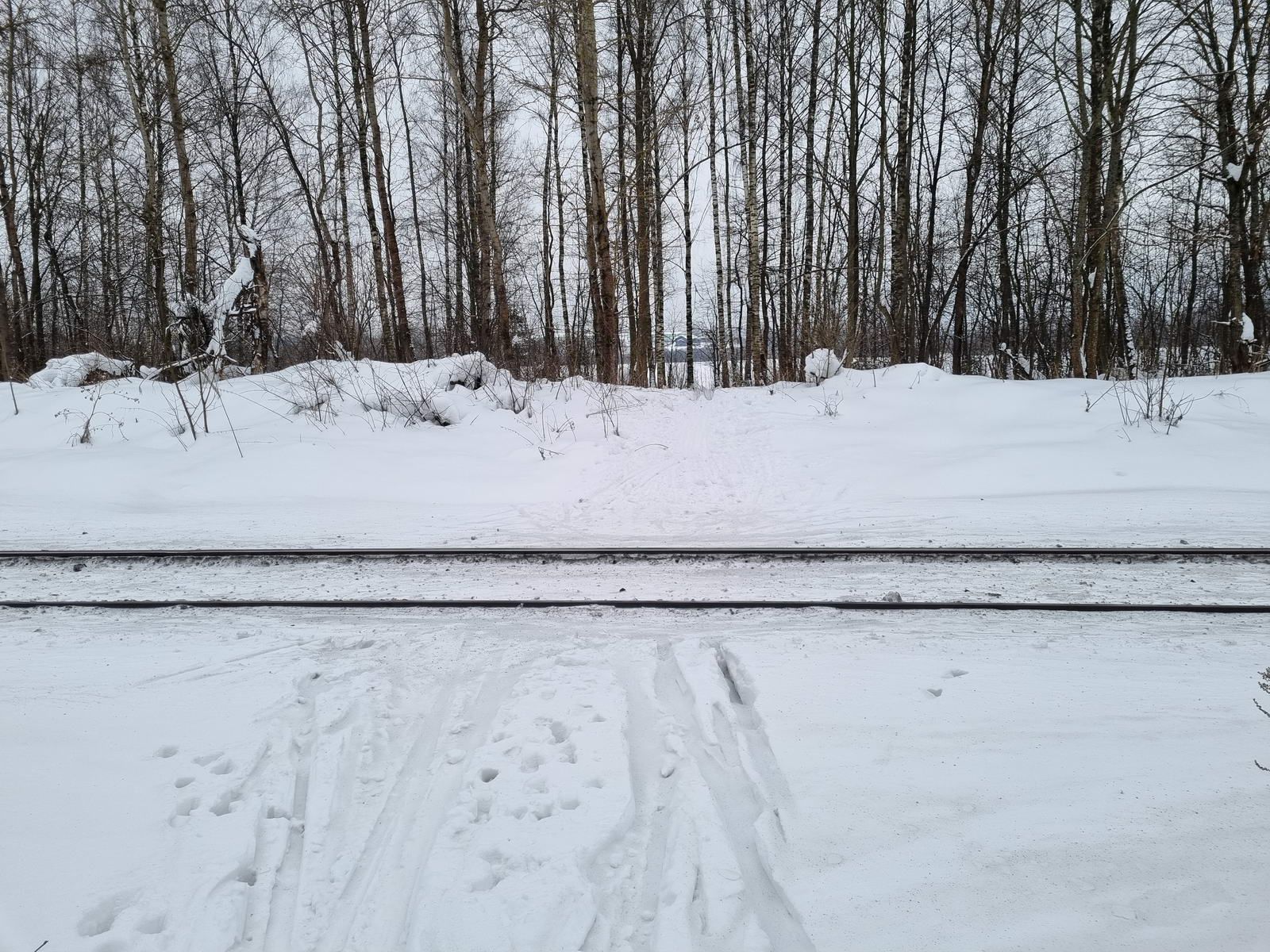 Пересечение ЖД путей