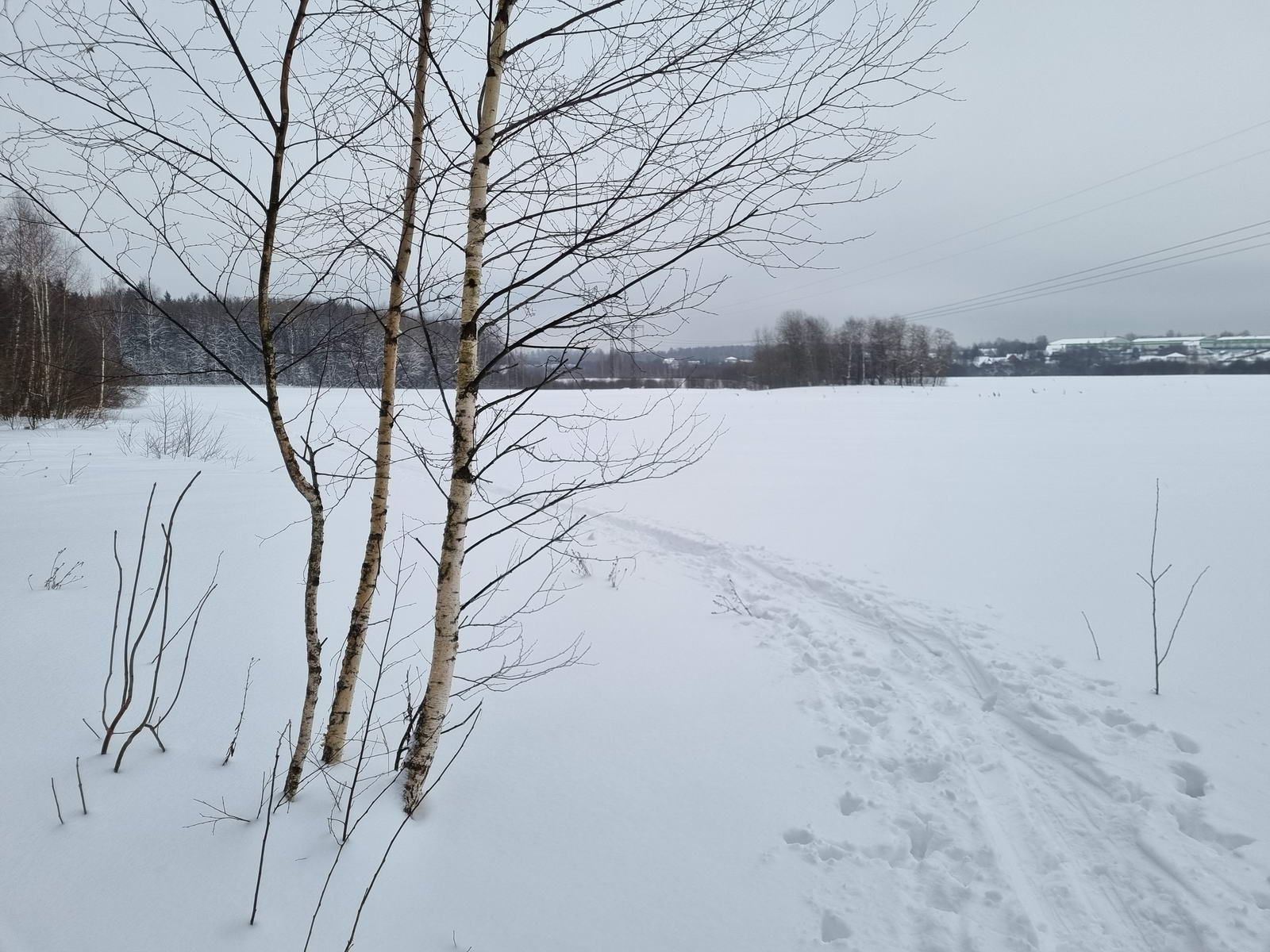 Выход на поле