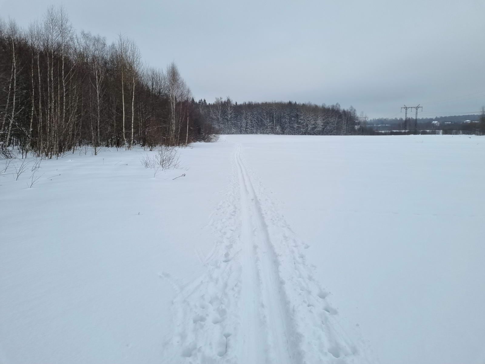 Лыжня на поле
