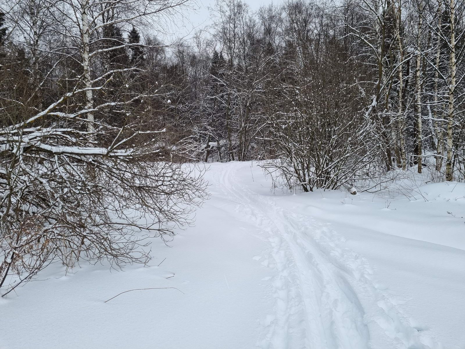 Поворот в лес