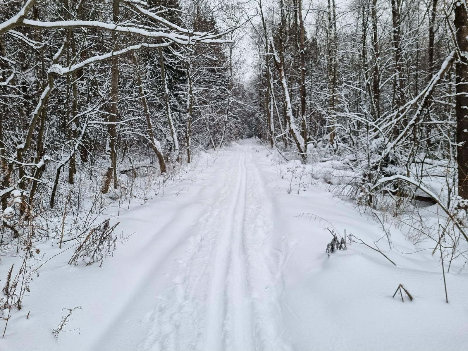 Обратно на узкоколейку