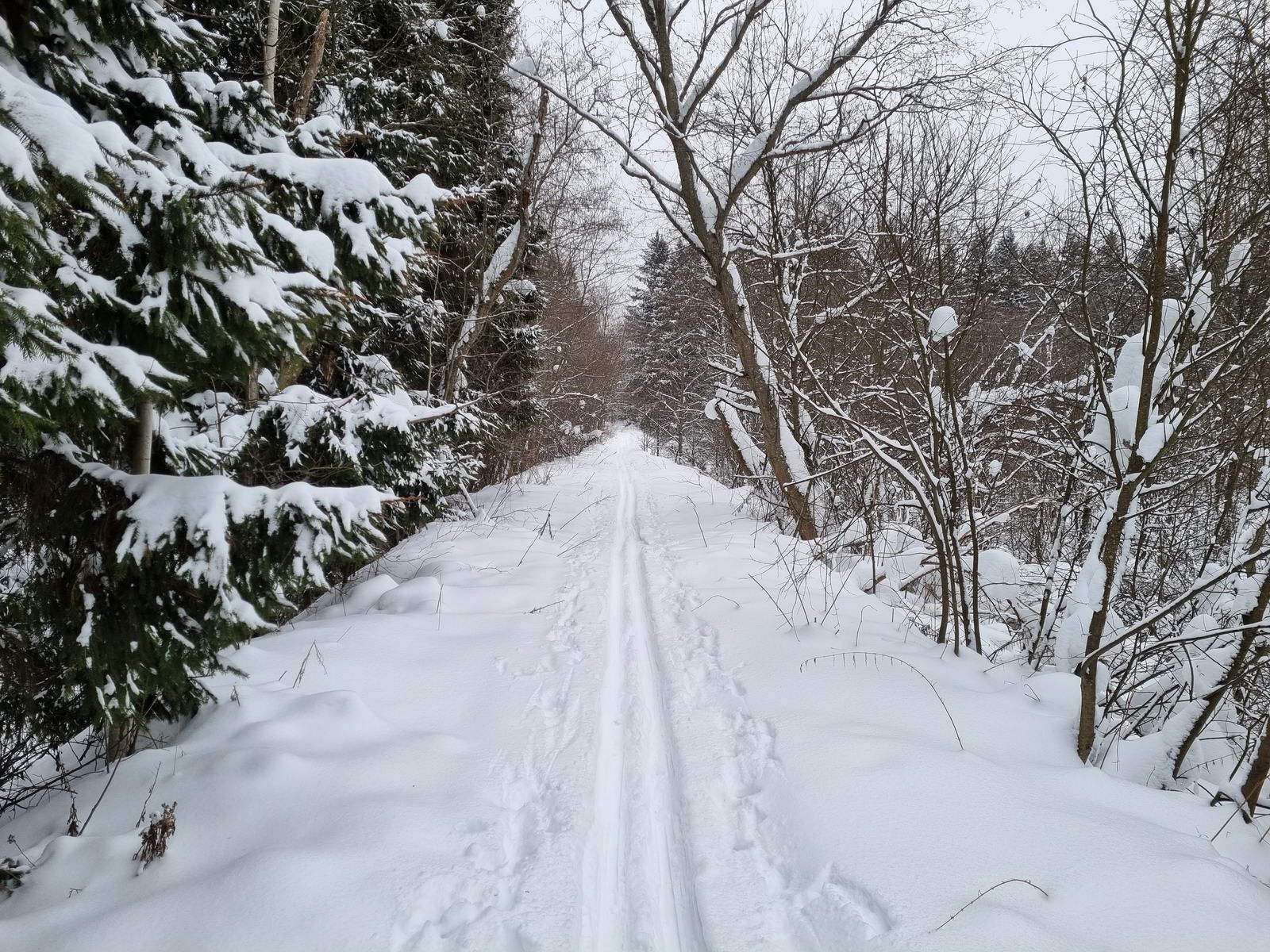 Вперед по насыпи