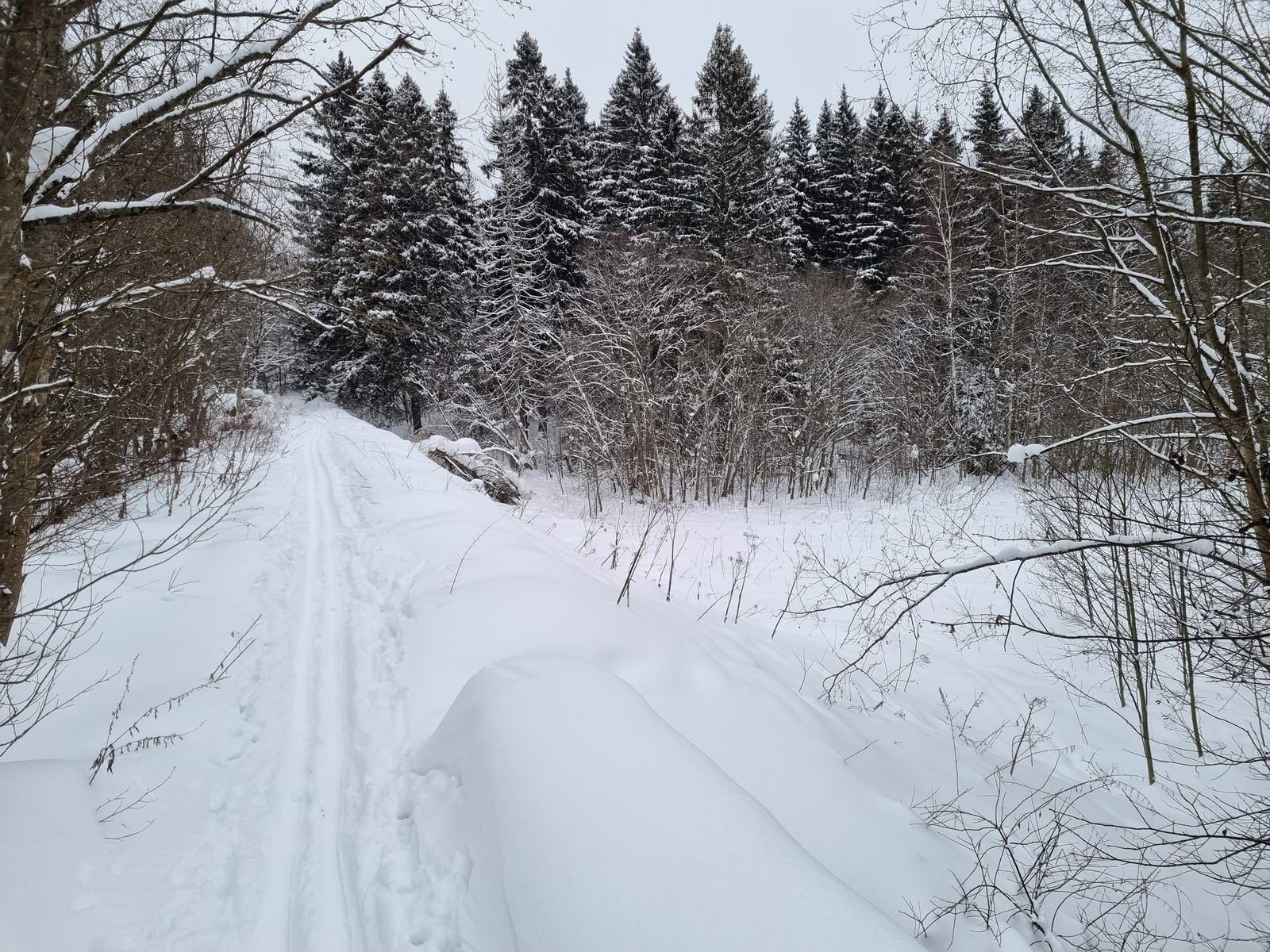 Ещё немного прямо