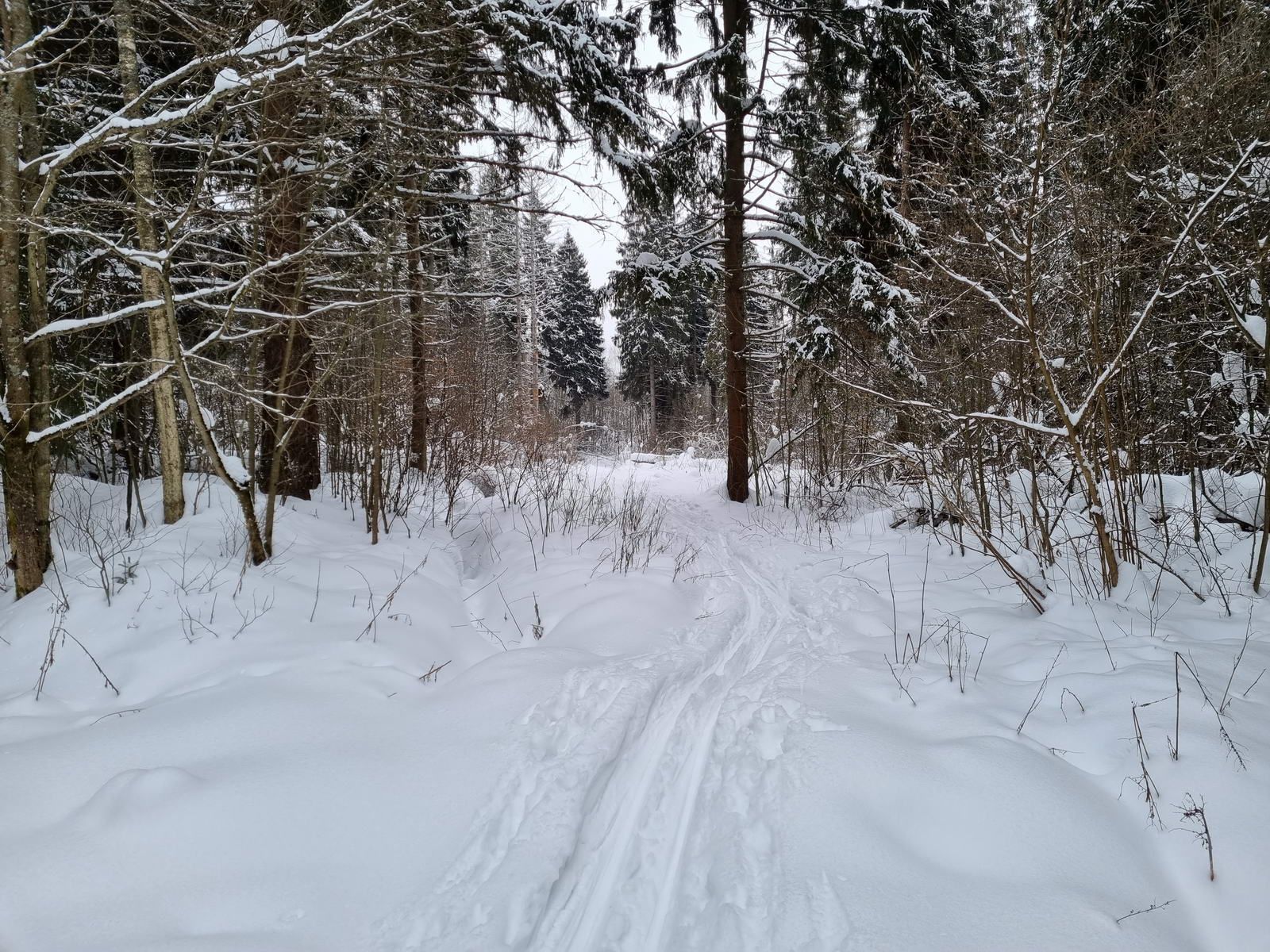 Тропа направо