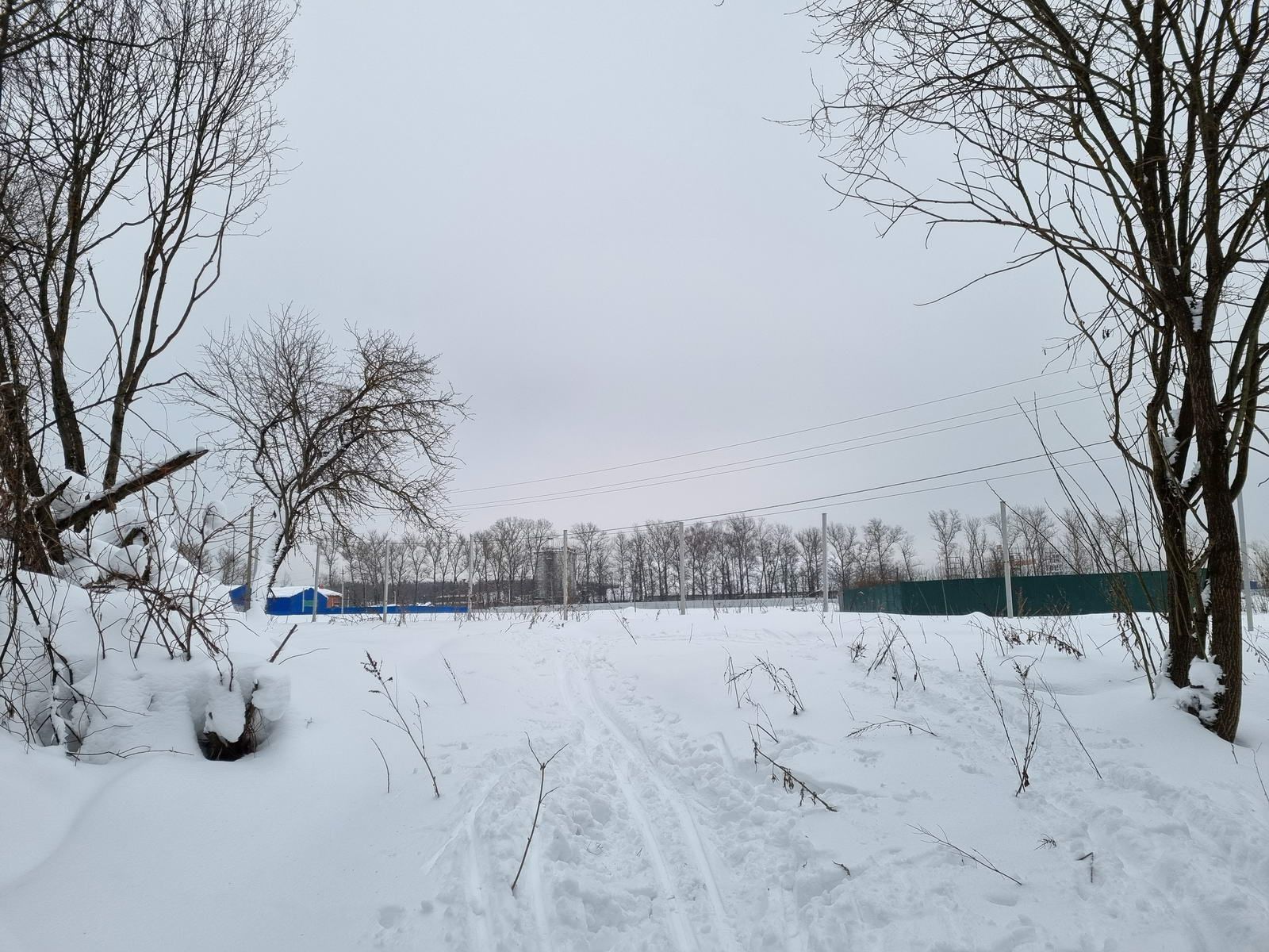 Выход из леса