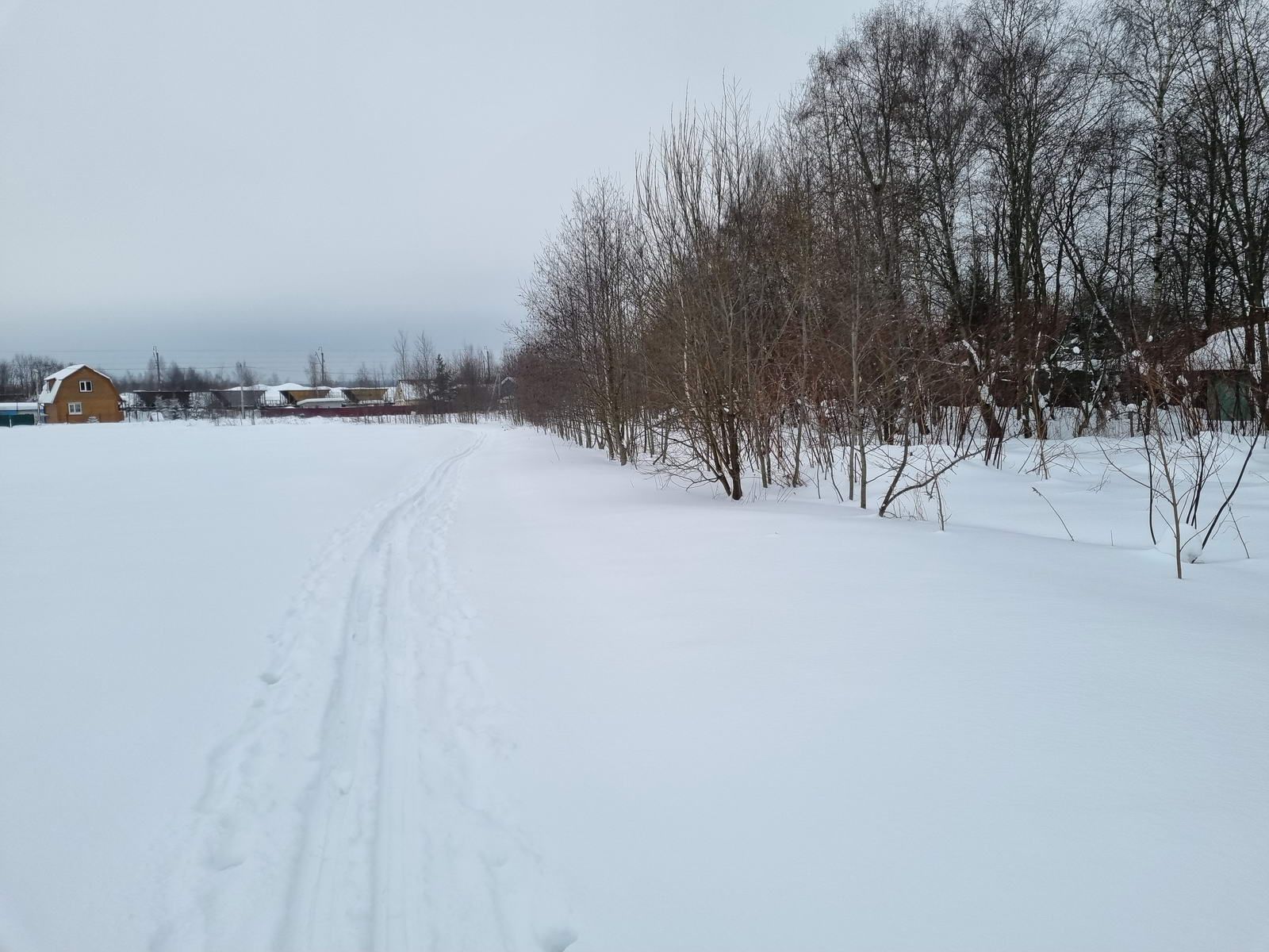 Поиск лыжни