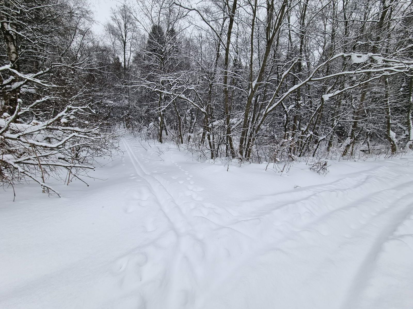 Пересекая узкоколейку