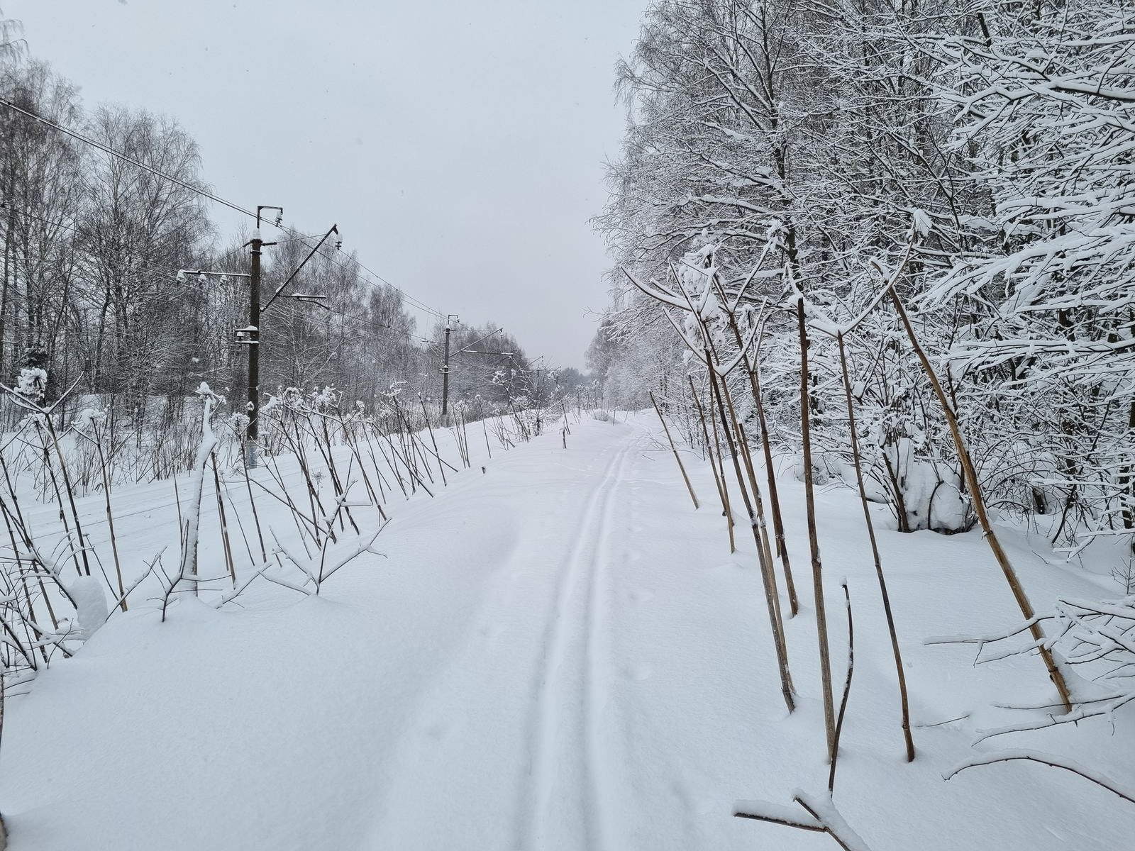 Вдоль ЖД путей