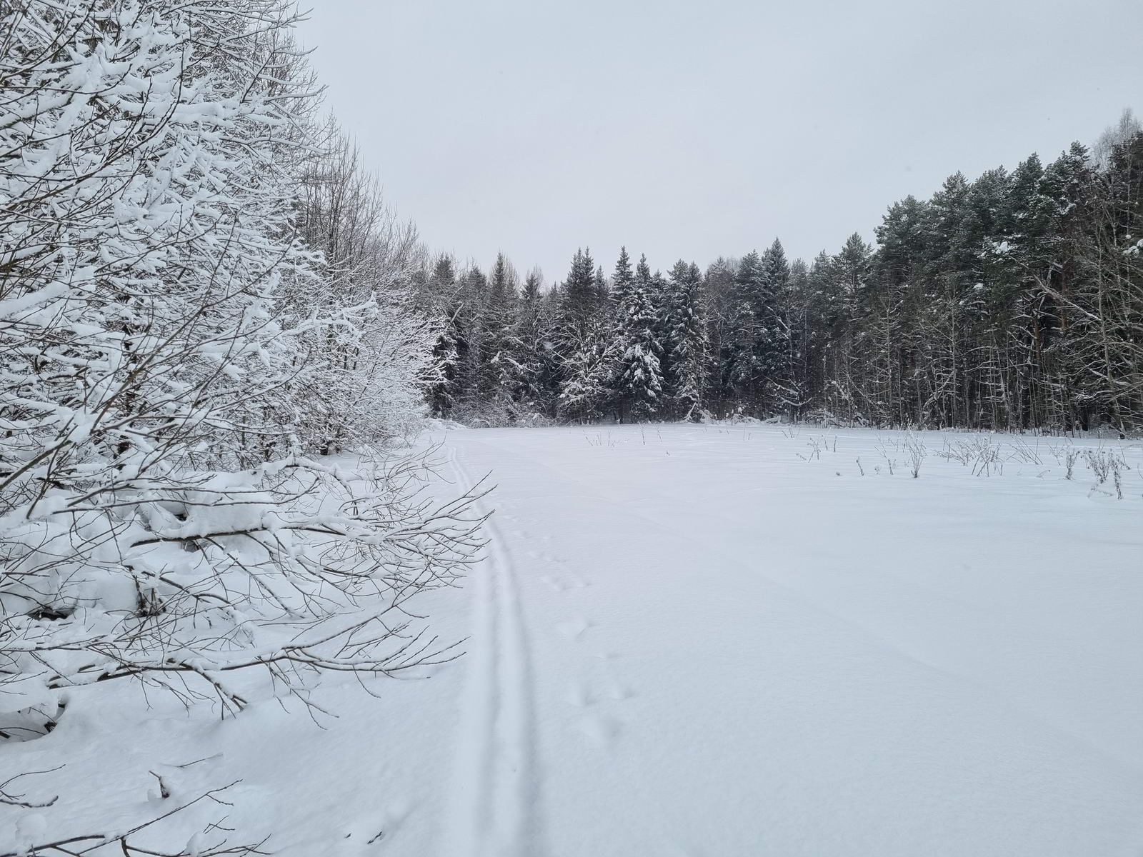 Вперед по полю