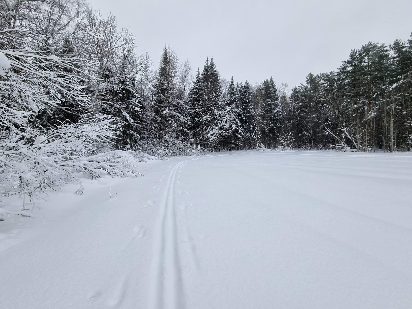 Плавно направо