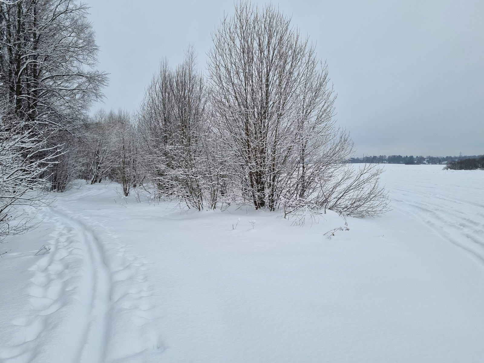 Развилка лыжни