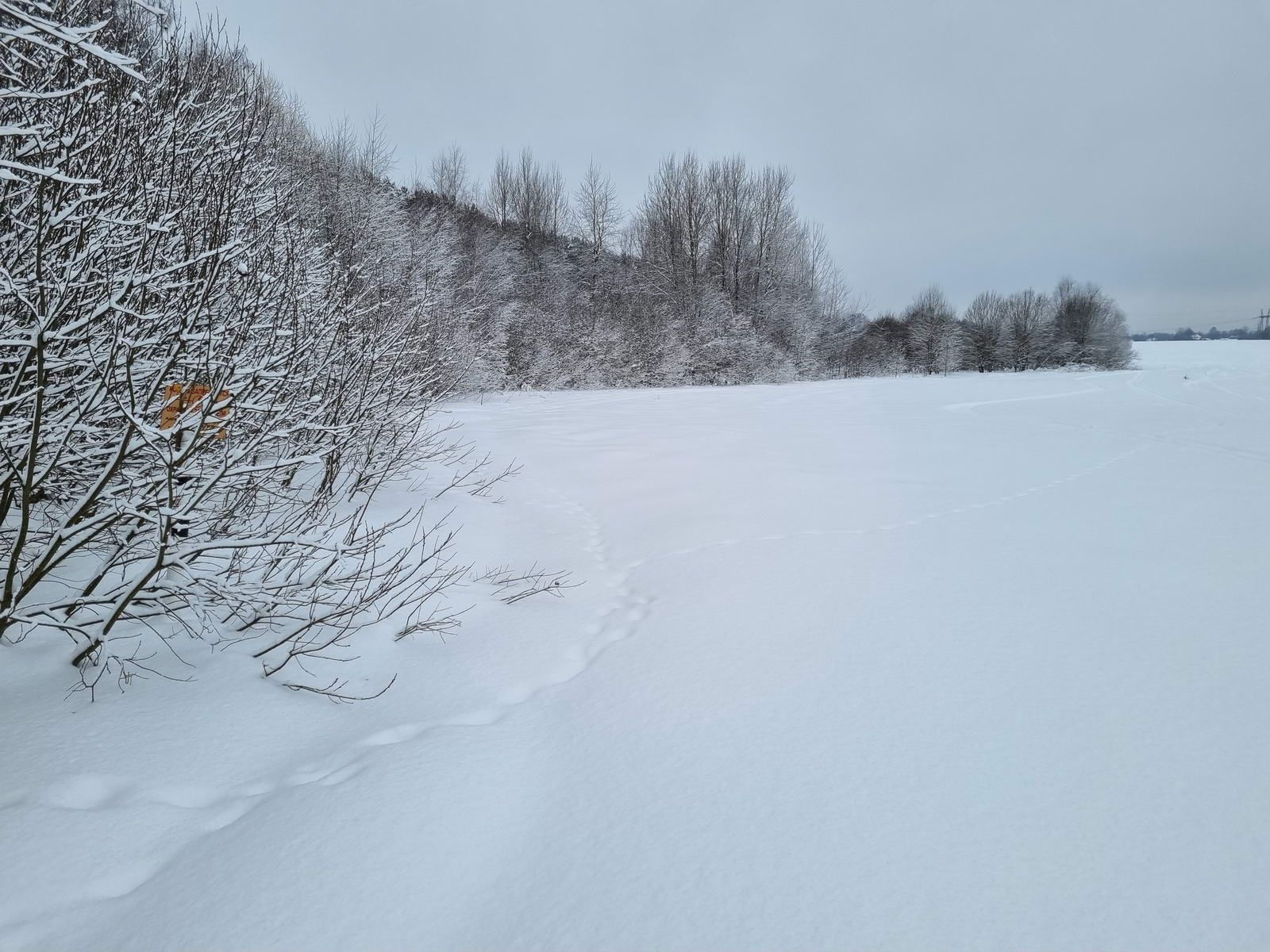 Дугой по полю