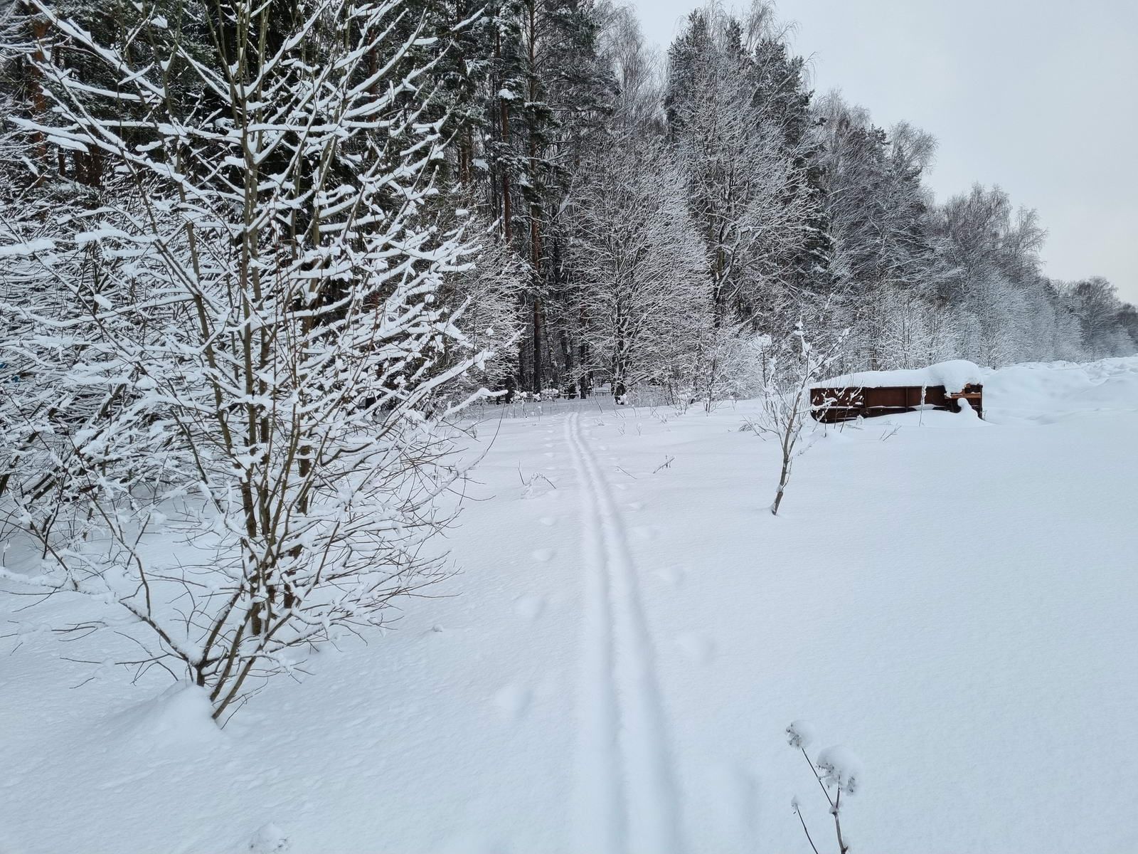 Третья мусорка