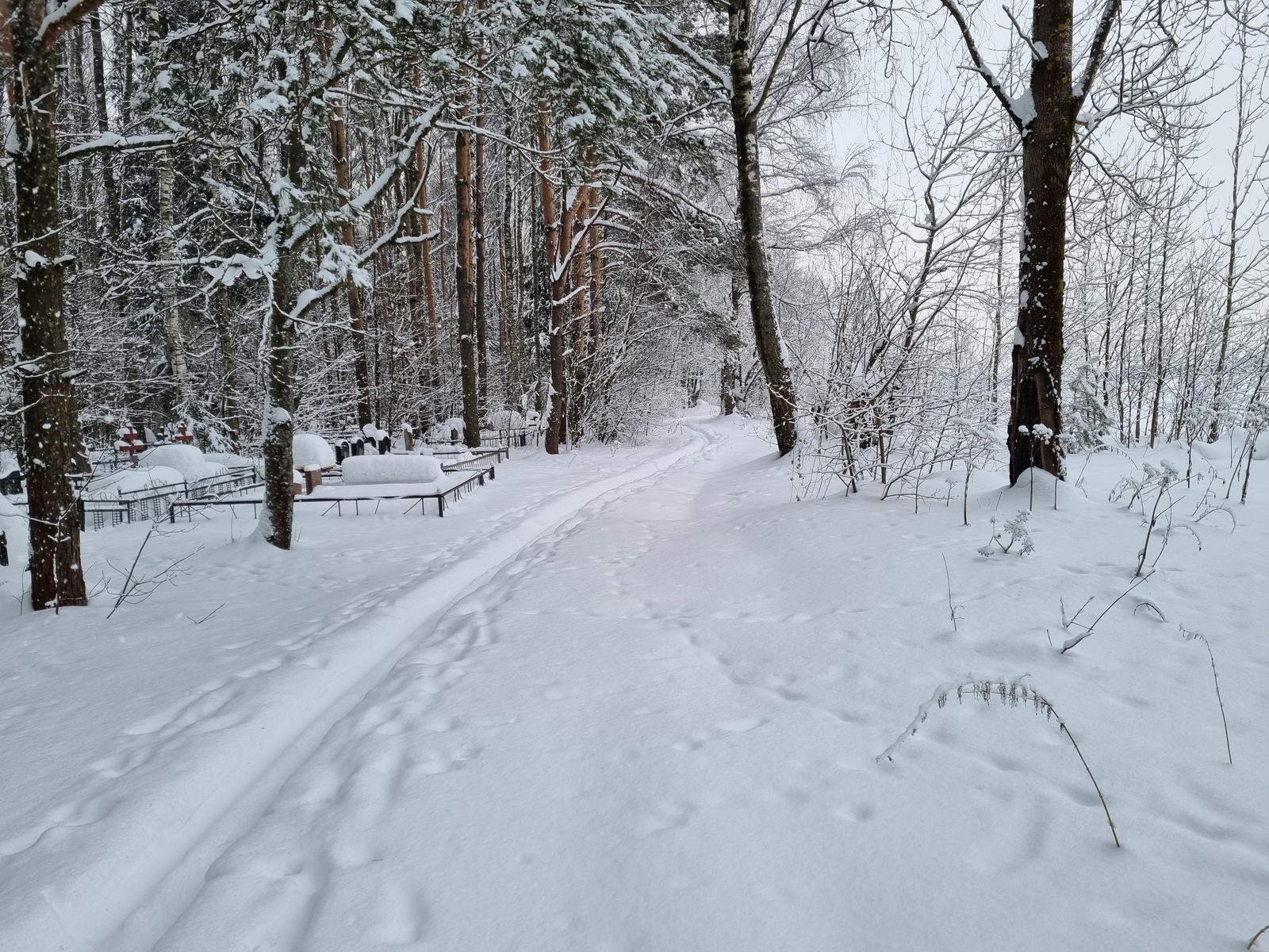 Тропа вдоль кладбища