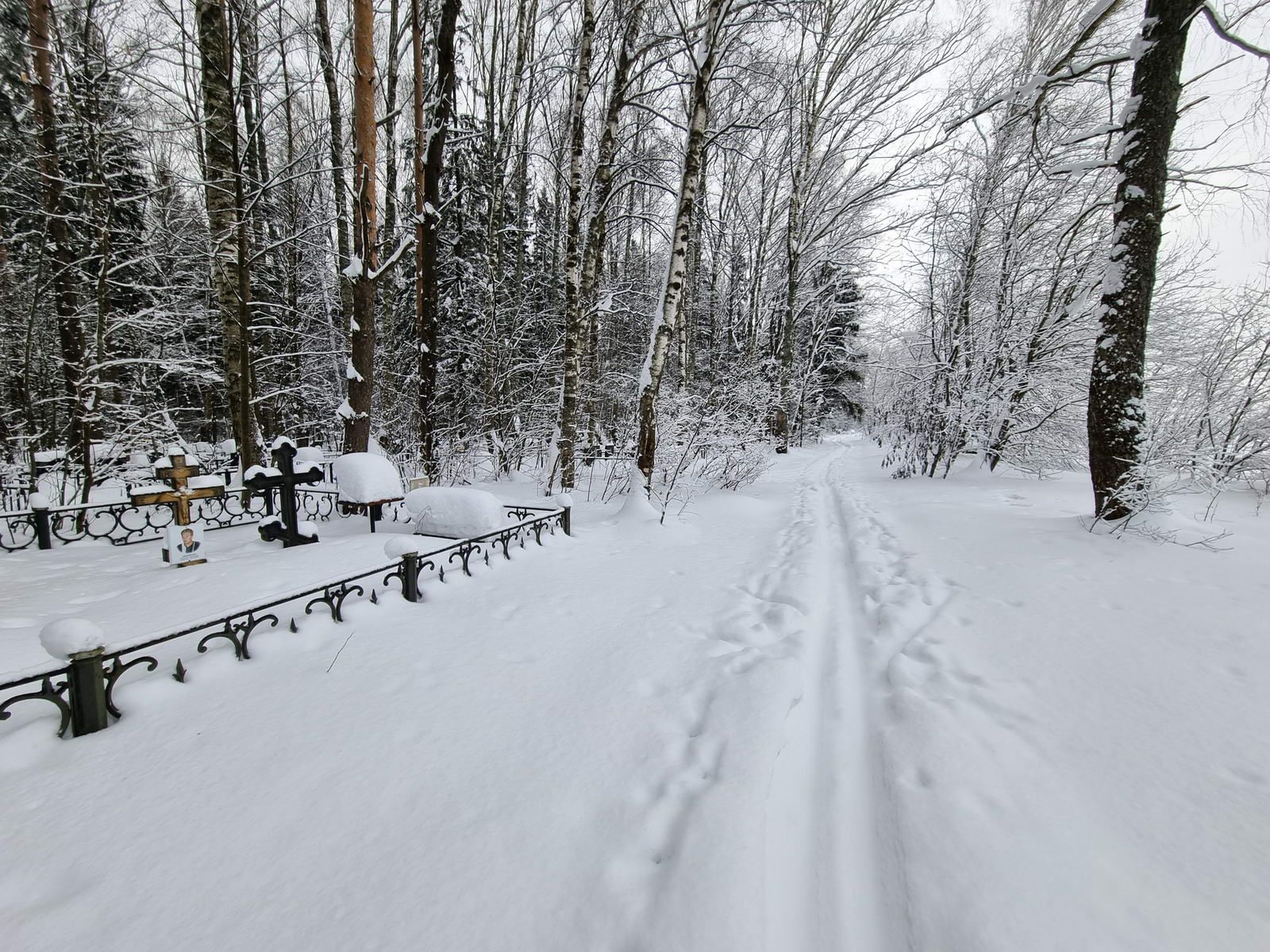Вдоль могил
