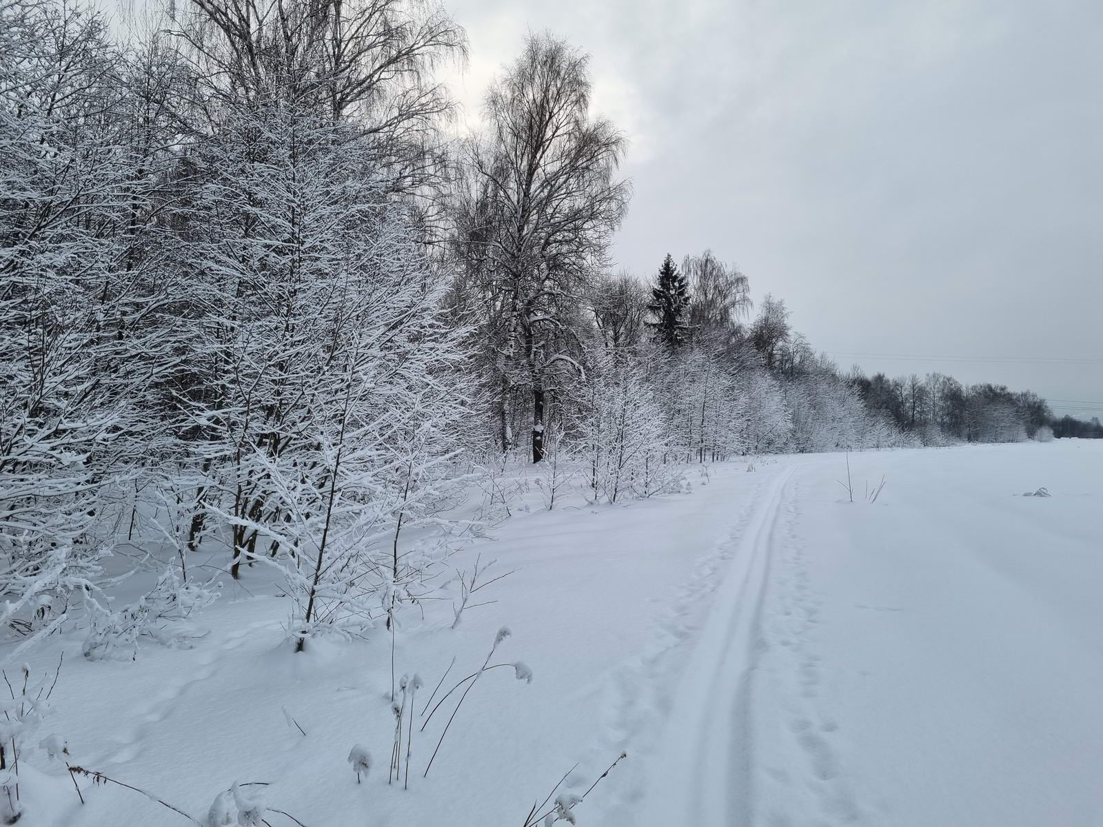 Вновь по полю