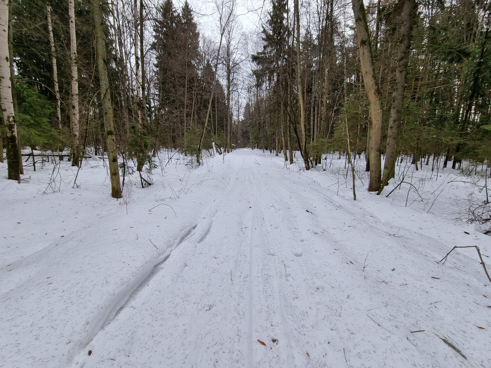 Лыжня на тропе узкоколейки