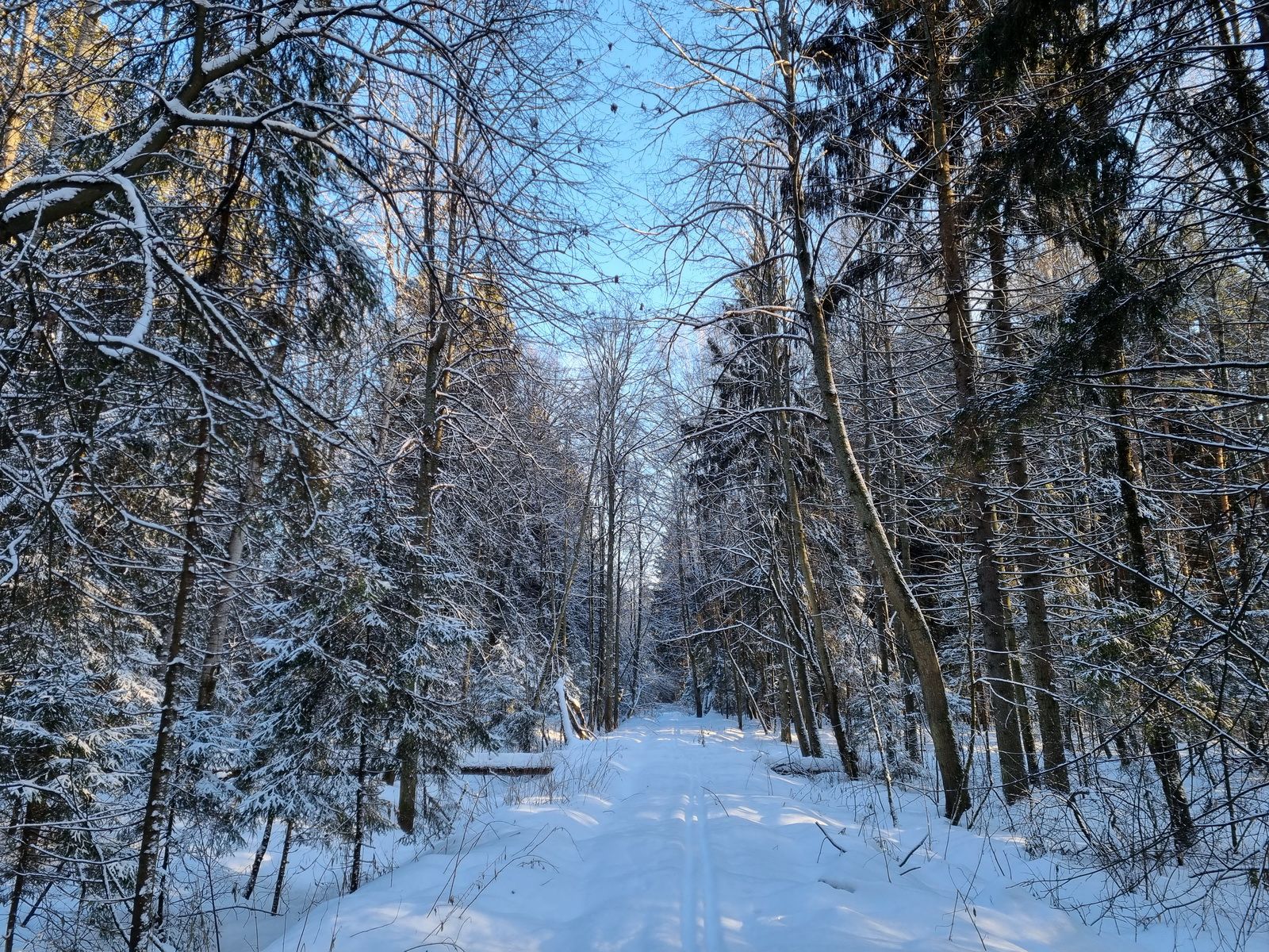 Тропа бывшей узкоколейки